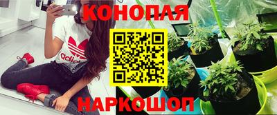 гашиш Майкоп