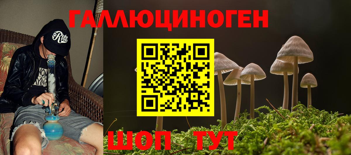 Галлюциногенные грибы Psilocybine cubensis Дзержинский