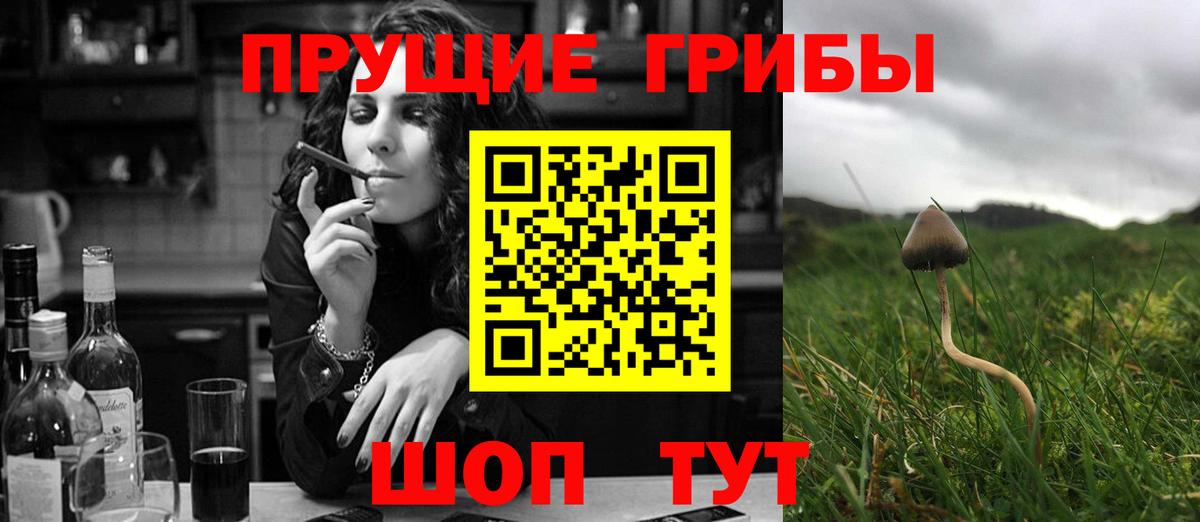 Галлюциногенные грибы Magic Shrooms  Галлюциногенные грибы Psilocybine cubensis  Дзержинский  Вход с VPN 