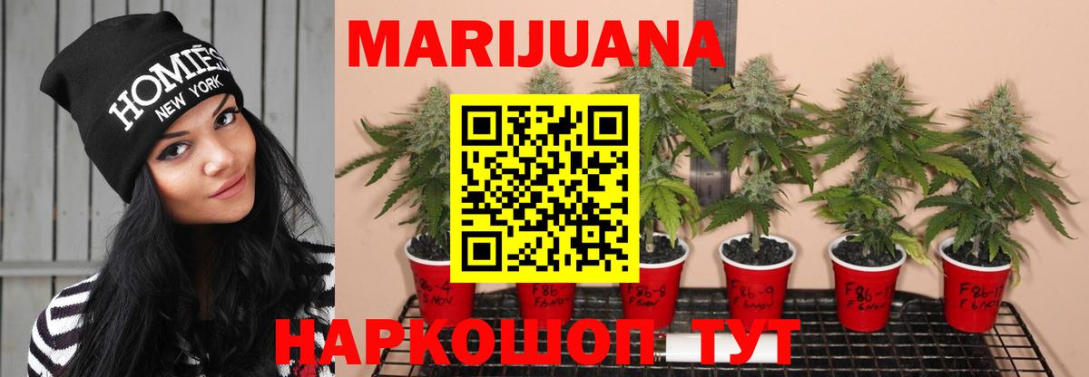 Бошки марихуана гибрид  Марихуана THC 21%  Дзержинский  МАРИХУАНА White Widow  Вход с VPN 